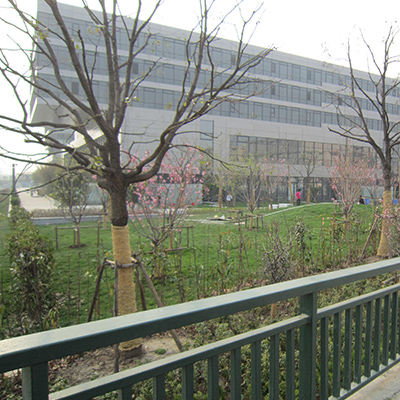 博世中国研发总部大楼