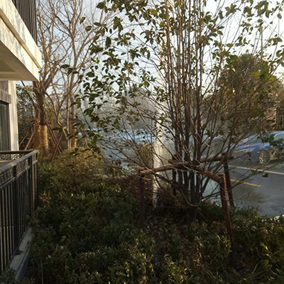雨水回收系统